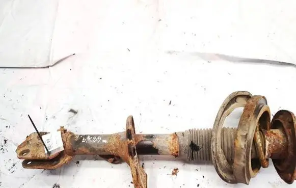 KIA Carnival Front shock absorber/damper 546004d200