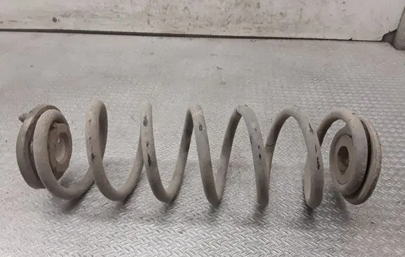 Volkswagen PASSAT B6 Rear coil spring
