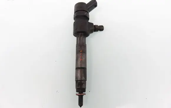 Fiat Punto (199) Fuel injector 0445110276