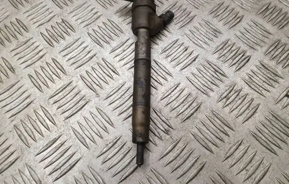 Hyundai i20 (PB PBT) Fuel injector 0445110320
