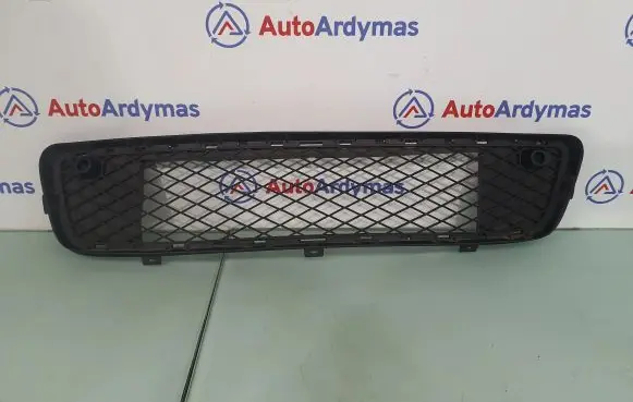 BMW X5 E70 Front bumper lower grill 51117163956