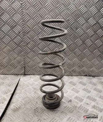 Rear coil spring