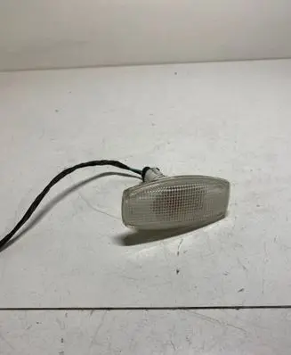 Front fender indicator light