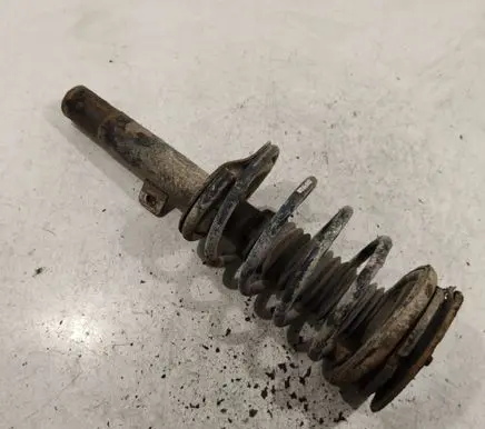 Peugeot 607 Front shock absorber with coil spring 2481