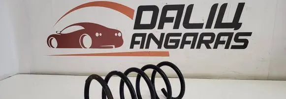 Rear coil spring