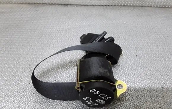 Ford C-MAX I Roof seat belt 