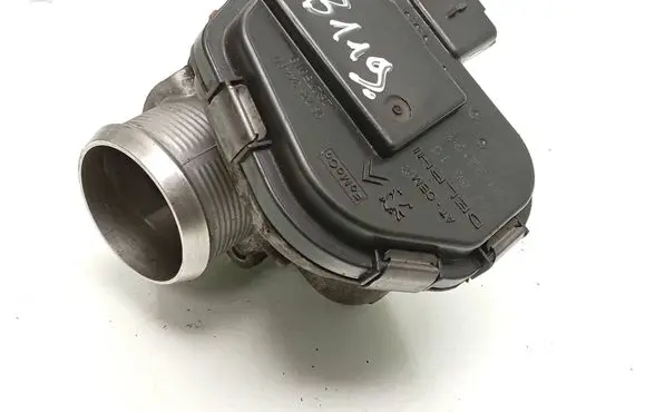 Citroen Dispatch II Throttle valve 9673534480 28098656