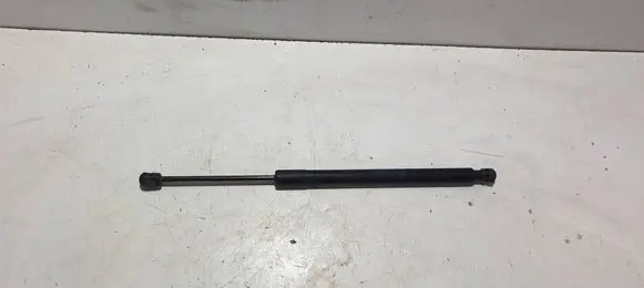Opel Meriva B Tailgate/trunk strut/damper 315005777 0306280700N 13338367