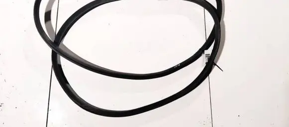 Nissan Note (E11) Rubber seal front coupe door 