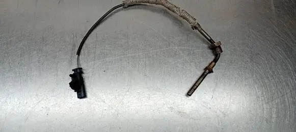 Volvo S80 Exhaust gas temperature sensor 31319842