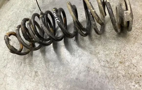 Rear coil spring