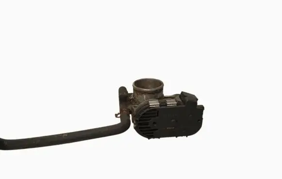 Throttle body valve