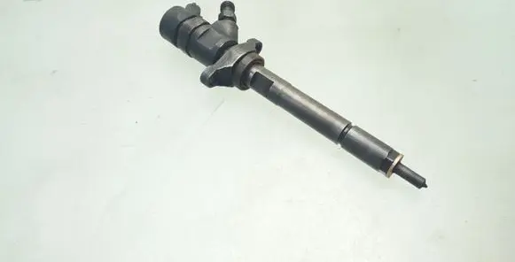 Citroen C5 Fuel injector 0445110188