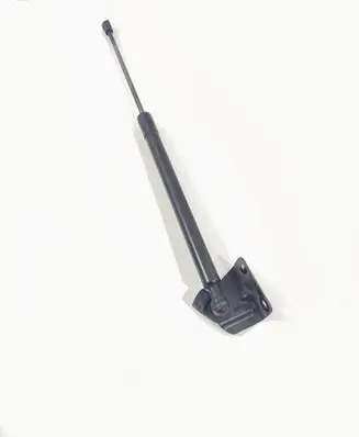 Tailgate strut