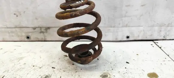 Volkswagen Sharan Rear coil spring