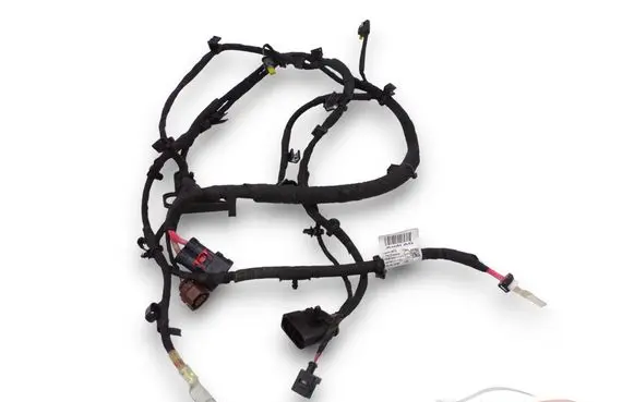 Audi A8 S8 D5 Other wiring loom 4N1971111G