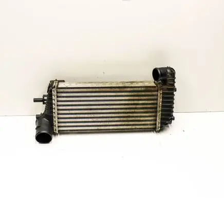 Ford Transit - Tourneo Connect Intercooler radiator BV619L440CK
