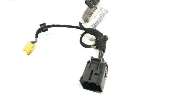 Front door wiring loom