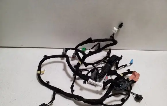 Front door wiring loom