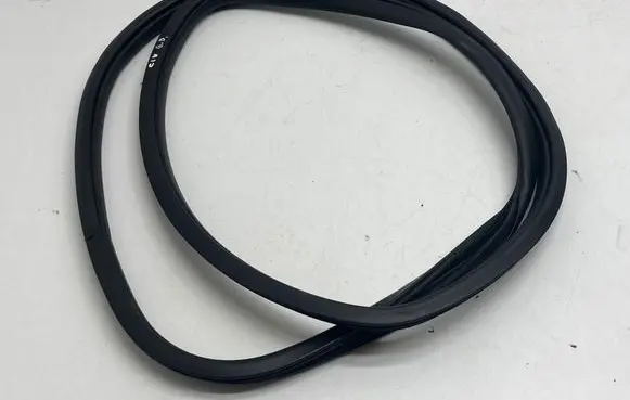 Honda Civic X Rear door rubber seal (on body)