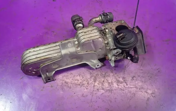 Seat Leon (1P) EGR valve