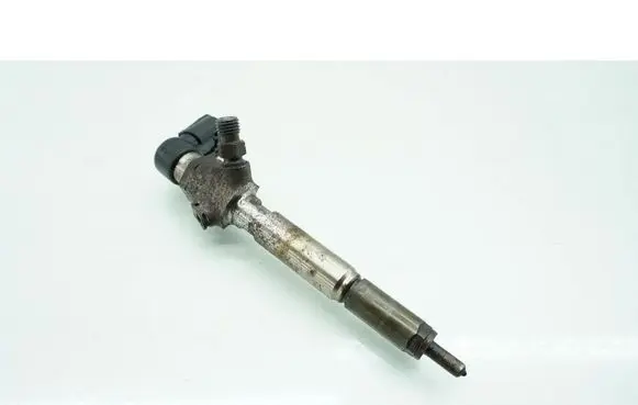 Nissan Qashqai Fuel injector H8200294788