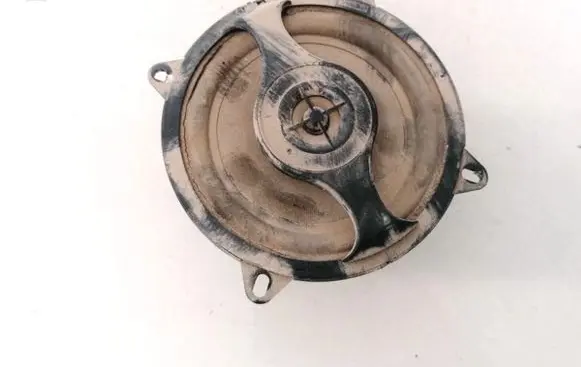Renault Scenic I Front door speaker