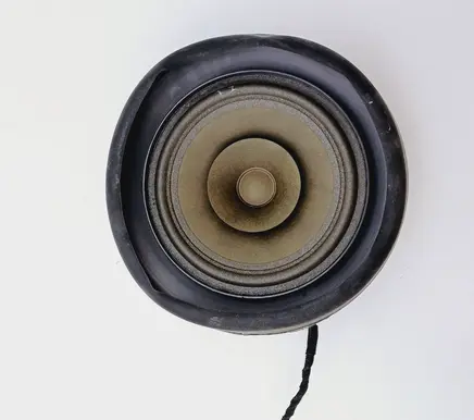 Rear door speaker