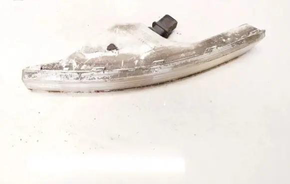 Volkswagen PASSAT B6 Front indicator light 3c0953041e