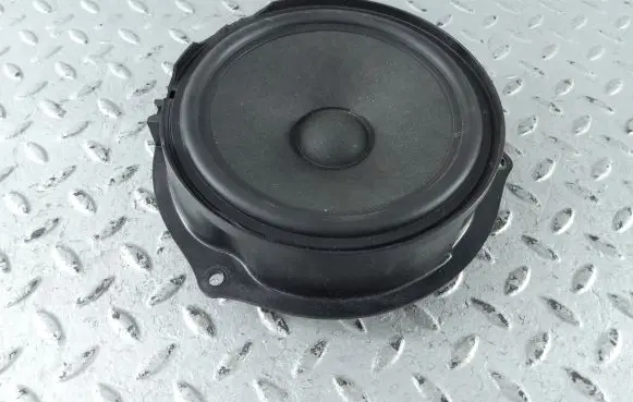 Dacia Sandero III Front door speaker 281444213R