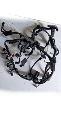 Toyota RAV 4 (XA50) Engine installation wiring loom