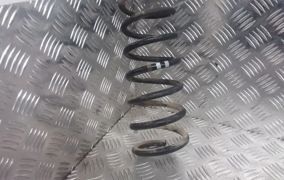 Rear coil spring