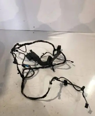BMW X5 E70 Front door wiring loom 9116976 01E701510
