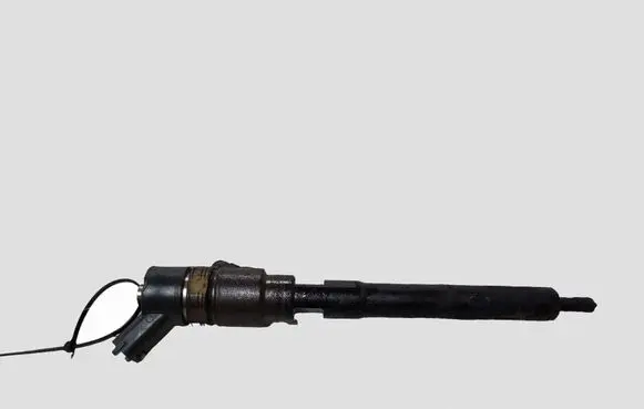 KIA Carens II Fuel injector 0445110258 3380027400