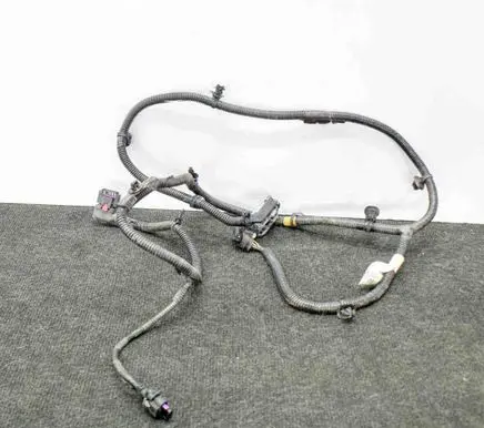 Tesla Model 3 Other wiring loom 106876901D