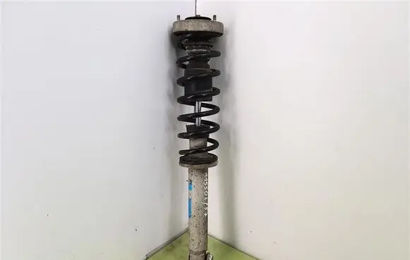 BMW 5 E60 E61 Rear shock absorber with coil spring 814903001744