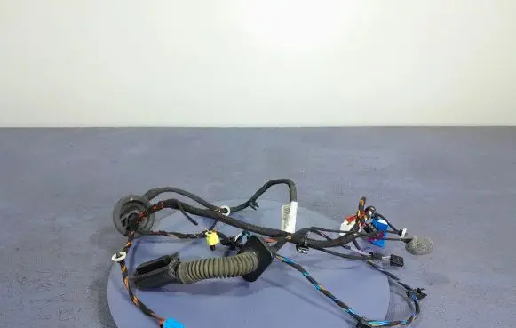 Skoda Superb B8 (3V) Other wiring loom 3V1971121BG