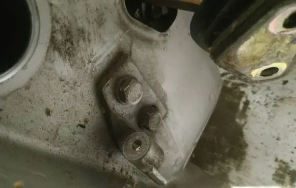 Peugeot 406 Rear door lower hinge