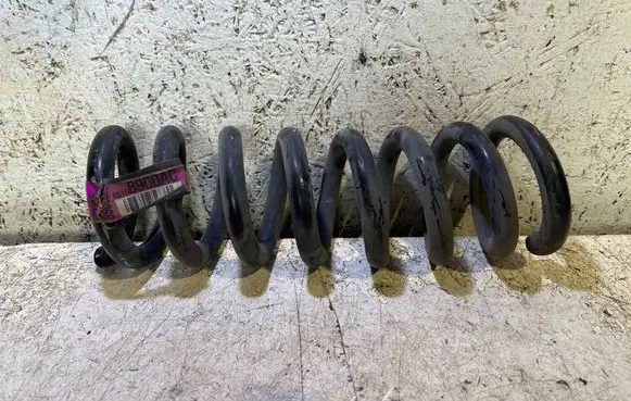 Rear coil spring