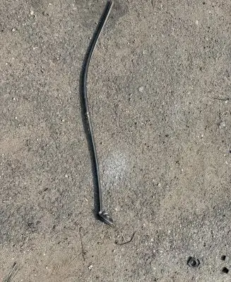 Renault Trafic III (X82) Rubber seal front coupe door 