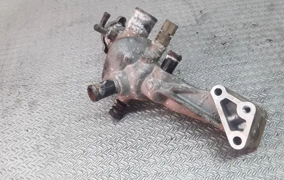 Thermostat/thermostat housing