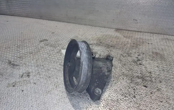 Citroen Jumpy Alternator belt tensioner pulley 9654954880