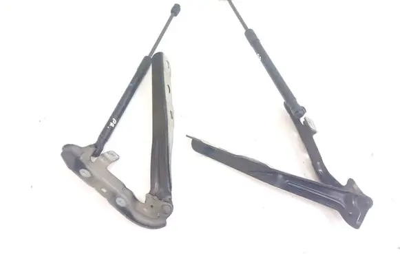 Engine bonnet/hood hinges