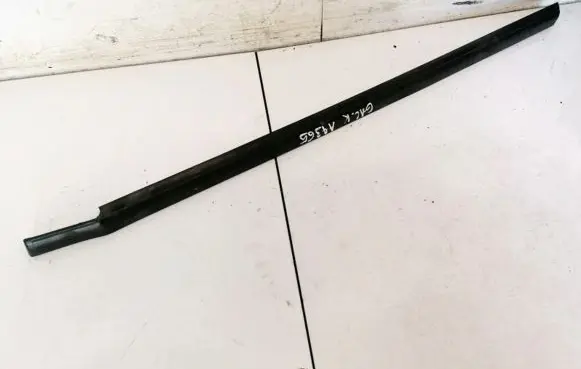 Citroen Xsara Rear door glass trim molding