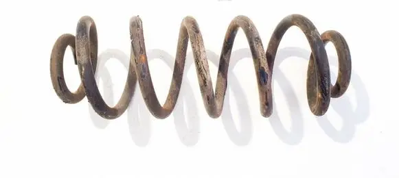 Rear coil spring