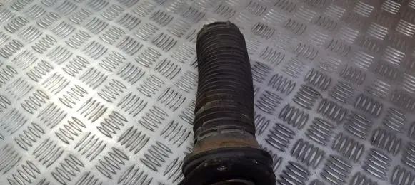 Coil spring mount