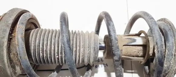 Chevrolet Lacetti Rear coil spring