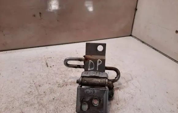 Front door lower hinge