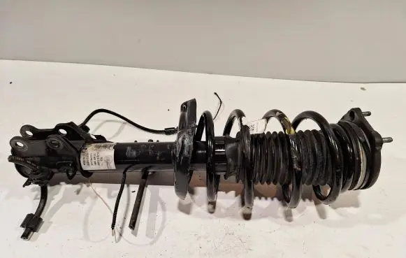 Fiat Doblo Front shock absorber/damper 519765770