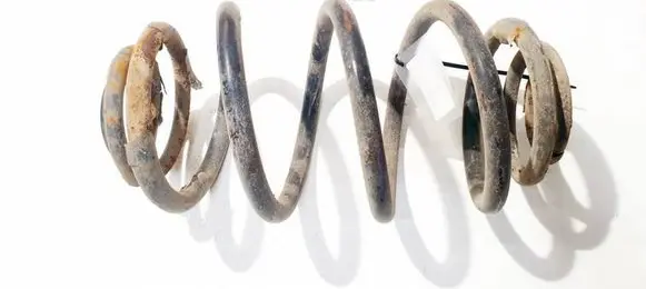 Rear coil spring